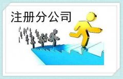 成都分公司注册需要什么材料？ 
