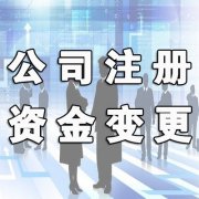 成都公司资本变更需要哪些材料？