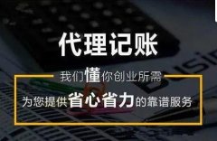 成都高新区代理记账的业务范围 