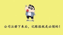 成都锦江区新注册公司后不记账不报税可以么?后果是什么? 