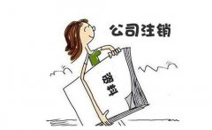 影响成都公司注销的因素，金牛区公司刚成立就想注销如何办理? 